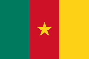 Cameroon national flag