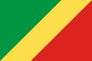 flag of congo