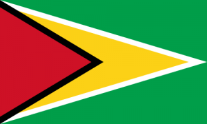 flag of guyana